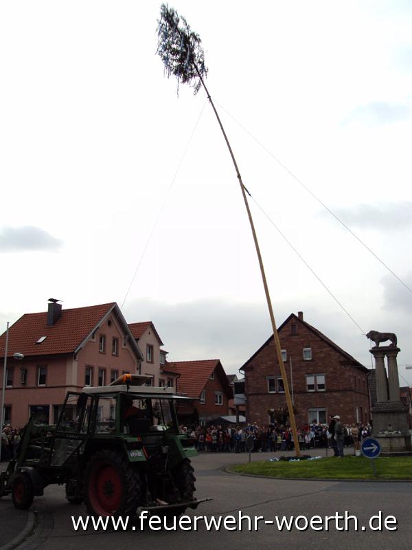 maibaum_2009_ 017.jpg